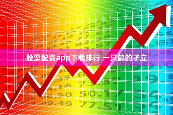 股票配资app下载排行 一只鹤的孑立