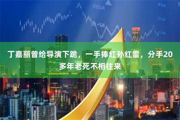丁嘉丽曾给导演下跪，一手捧红孙红雷，分手20多年老死不相往来