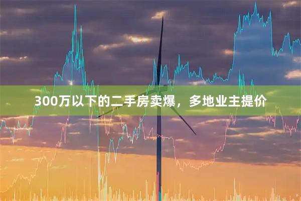 300万以下的二手房卖爆，多地业主提价