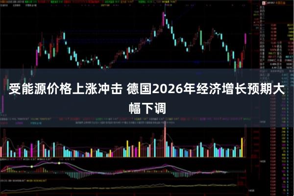 受能源价格上涨冲击 德国2026年经济增长预期大幅下调